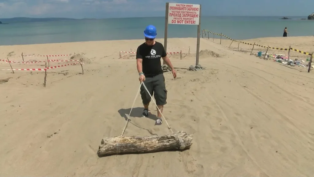 арт инсталация Корал